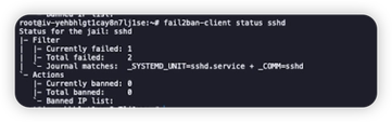fail2ban-client status sshd 的输出